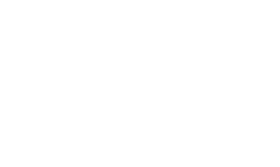 Airport driver